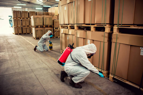 Best Pest Prevention Services  in Paulina, LA