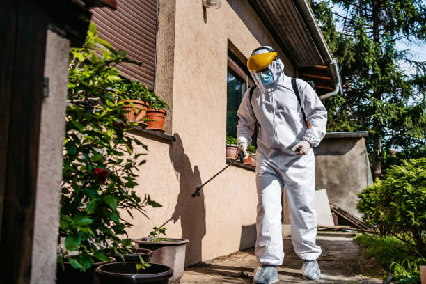 Best Pest Control Treatment  in Paulina, LA