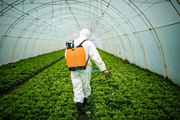 Best Local Pest Control Services  in Paulina, LA