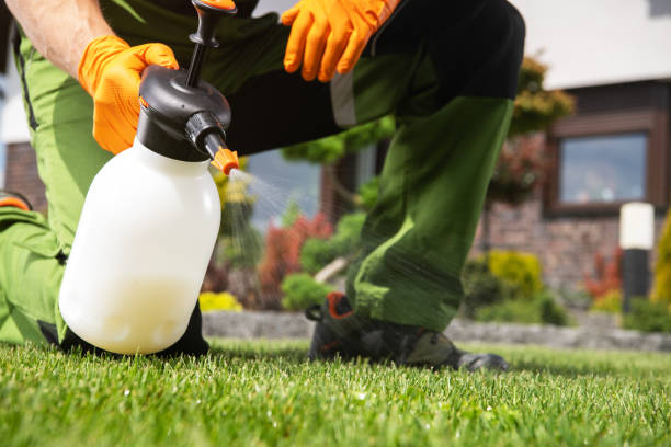 Best Commercial Pest Control Services  in Paulina, LA