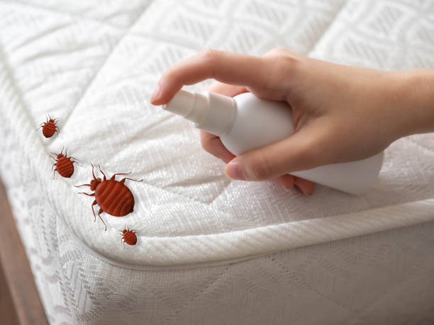 Best Pest Removal Services  in Paulina, LA