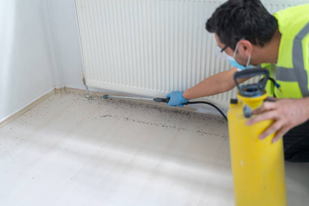Best Best Pest Control Companies  in Paulina, LA